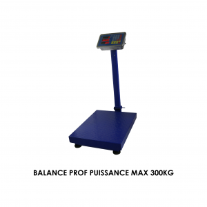 BALANCE PROF PUISSANCE MAX 300KG